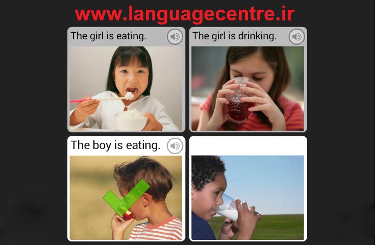 rosetta_stone_screenshot_four